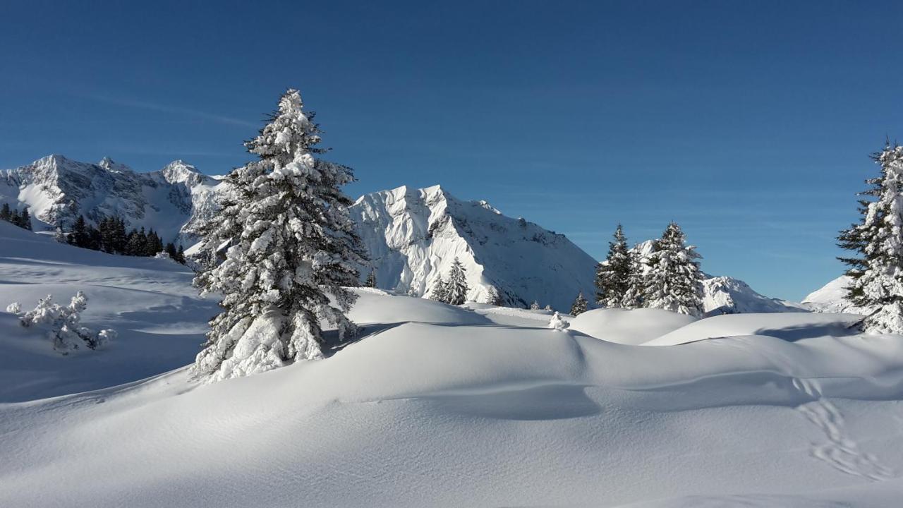 Hotel Landhaus Marion Holzgau Zewnętrze zdjęcie